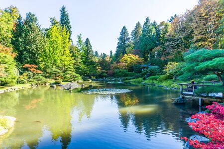 A view of a pond and foliage at a Seattle garend in autumn.の写真素材