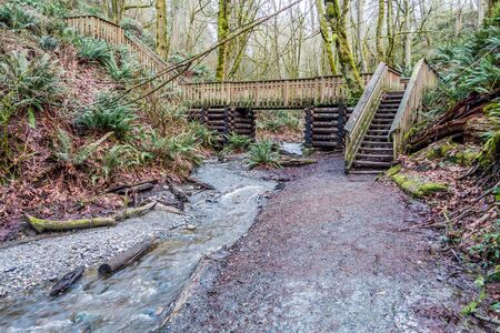 A wooden walking brigde spans as steam at Dash Point State Park in Washington State.