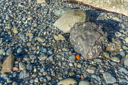 A background shot of rocks on the shoreline in West Seattle, Washington.の写真素材