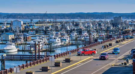 Boats are packed into the marina at  Westport, Washington.のeditorial素材