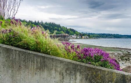 A view of the West Seattle shoreline with flowers in the forground.の写真素材