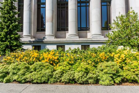 A section of a building at the Washington State Capitol in Olympia, Washington.の写真素材