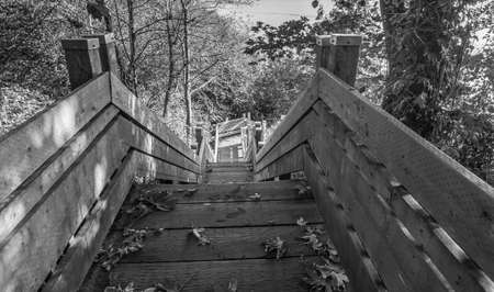 Steep wooden stairs lead down to the water in Normandy Park, Washington.
