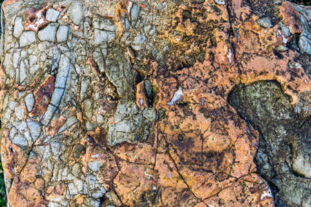 A background shot of cracked rock.