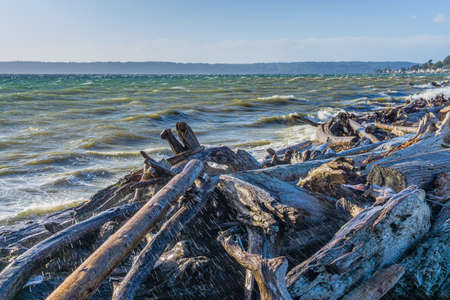 Driftwood lines the shore in Normandy Park, Washington on a windy day.