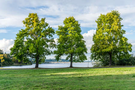 A veiw of the shoreline of Lake Washington in Seattle.の写真素材