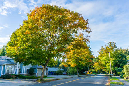 A view of a street in Burien, Washington in the autumn.の写真素材