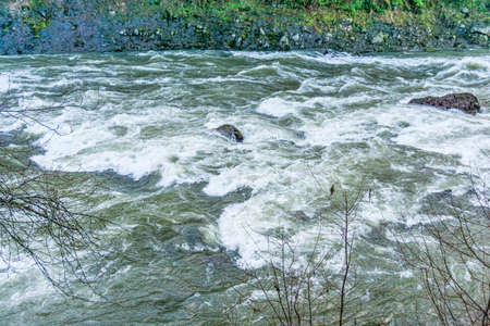 A rocks juts up in the middle of rapids on the Snoqualmie River.