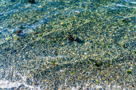 A view of rocks under the clear water at Redondo Beach, Washington.の写真素材