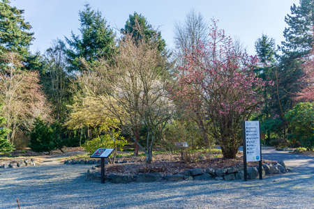 Spring blossoms on various trees at a botancial garden in Seatac, Washington.の写真素材
