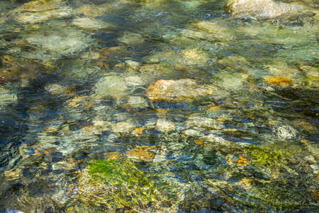 A close-up shote of clear water flowing over rocks in Denny Creek in Washington State.の写真素材