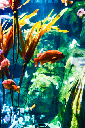 An illustration of fish in an aquarium in Tacoma, Washington.