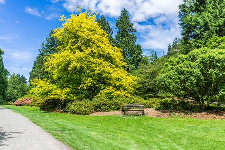 A trail through a garden in Seattle, Washington.の写真素材