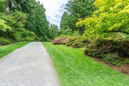 A trail through a garden in Seattle, Washington.の写真素材