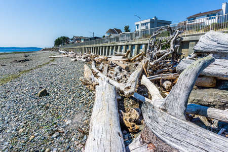 Driftwoood lies beneath a cement wall in West Seattle, Washington.の写真素材