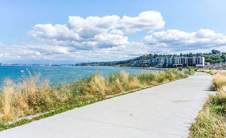 A view of dry summer grass along the shore at Dune Peninsula Park in ruston, Washington.の写真素材