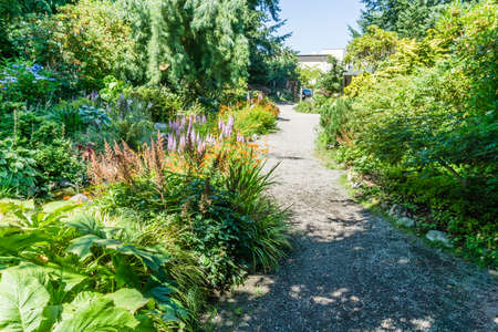 Flowers in a garden in Seatac, Washington. in the summer.の写真素材