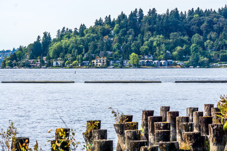 Waterfront homes near Coulon Park in Renton, Washington.の写真素材