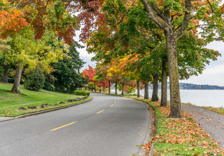 Very colorful autumn trees along the shore of Lake Washington in Seattle.の写真素材