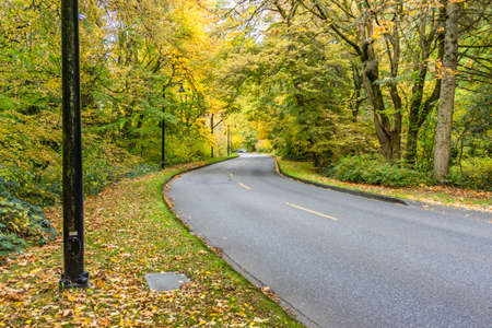 Fall foliage along the road through Washington Park Arboretum in Seattle, Washington.の写真素材