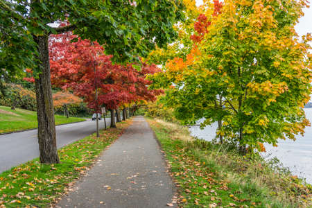 Very colorful autumn trees along the shore of Lake Washington in Seattle.の写真素材