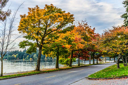Autumn trees line the shore of Lake Washington in Seattle.の写真素材