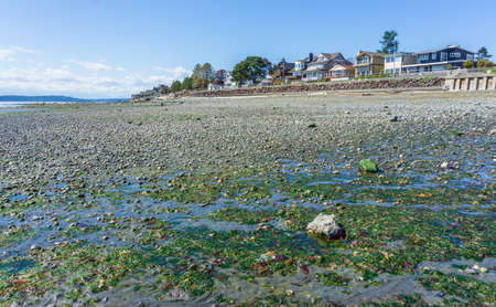 West Seattle shoreline with the tide very low.