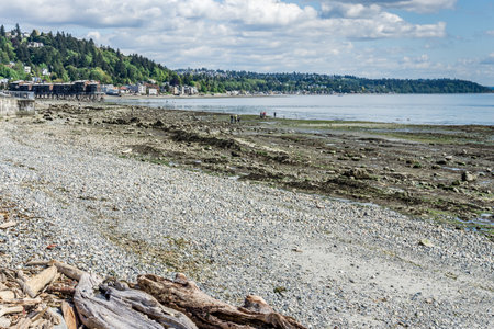A minus tide has uncovered a rugged sea bottom in West Seattle, Washington.の写真素材