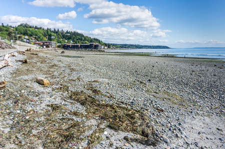 A landscape shot of the West Seattle shoreline at low tide.の写真素材