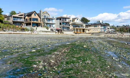 Homes face the Puget Sound at low tide in West Seattle, Washingtonの写真素材