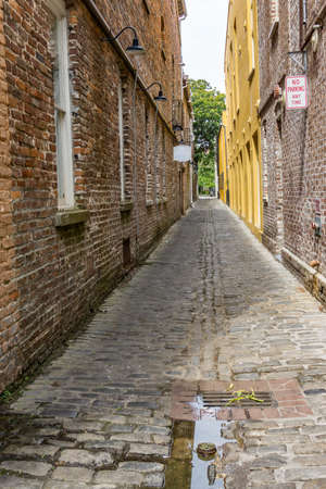 A scenic alley in Charlston, South Carolina.の写真素材
