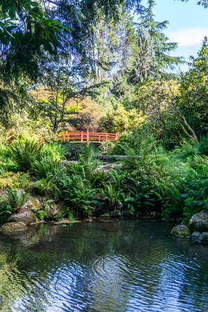 A red walking bridge in a garden in Renton, Washington.の写真素材
