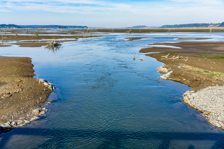 A view of the Nisqually Wetlands in Washington State. Landscape photo.