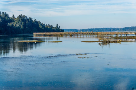 Calm water at the Nisqually Wetlands in Washington State.の写真素材