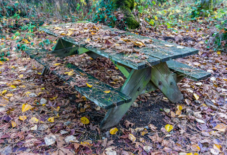 Leaves on picnic table at Saltwater State Park in Washington State.