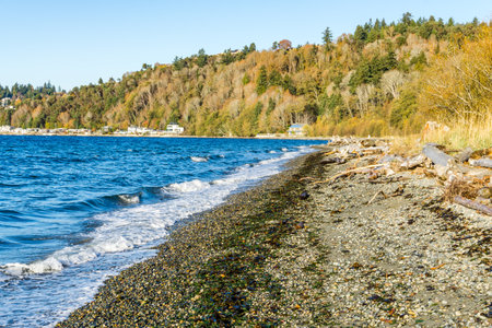 Homes along the shoreline in Seahurst, Washington. It is autumnの写真素材