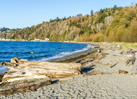 Homes along the shoreline in Seahurst, Washington. It is autumnの写真素材