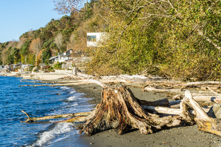 Homes along the shoreline in Seahurst, Washington. It is autumn