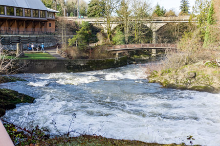 The Deschutes River flows at Brewery Park in Tumwater, Washington.