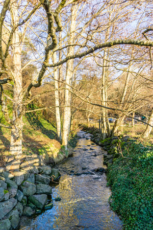 A small creek at  Saltwater State Park in Des Moines, Washington.