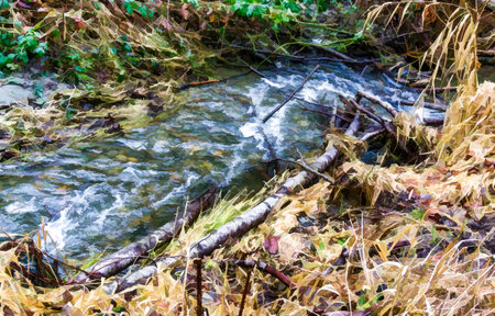 A rocky stream a MeadowDale Beach Parkin in Lynnwood, Wasthington.の写真素材