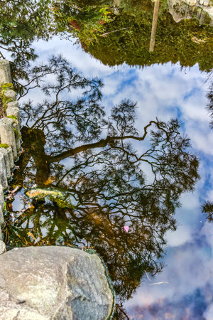 Clouds are relfected in a pond at a Japanes Garden in Seatac, Washington. It is winter.