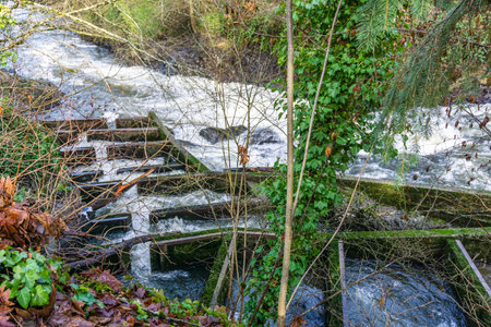 A fish ladder on the Deschutes River in Washington State.の写真素材