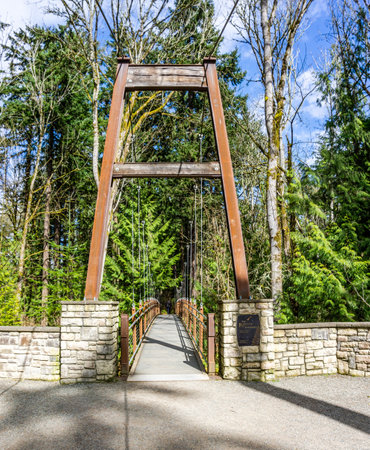 A view os a walking suspension brdige at  Bellevue Botanical Garden in Washington State.の写真素材