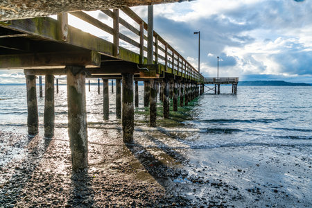 A view of pier piling in Redondo Beach, Washington. Tide is low.の写真素材