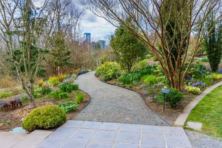 A view of a garden and path at Bellevue Botanical Garden in Washington State.の写真素材