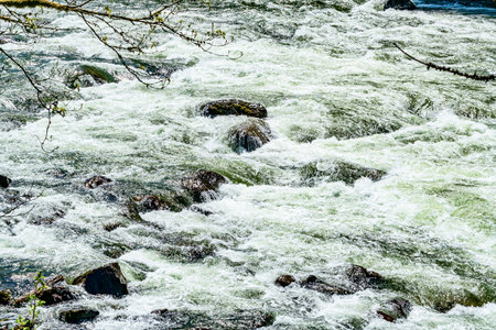 Whitewater rapids on the Snoqualmie River in Washington State.