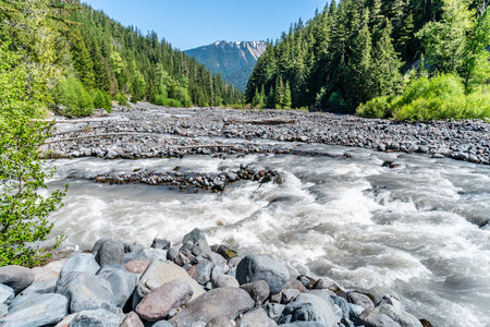 A view of rapids on the White River flowing down from Mount Rainier in Washington State.