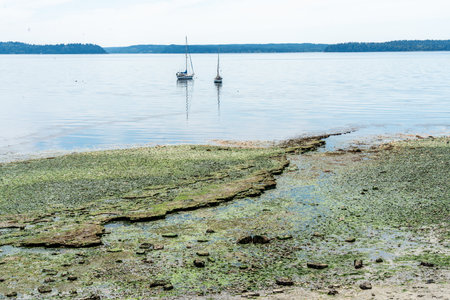 Tow boats are anchored near shore in West Seattle, Washington.
