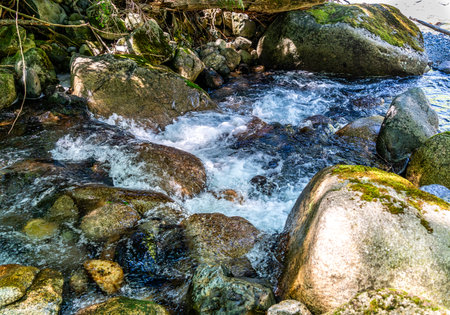 A details view of a small rocky mouintain stream near Snoiqualmie Pass in Washington State.の写真素材